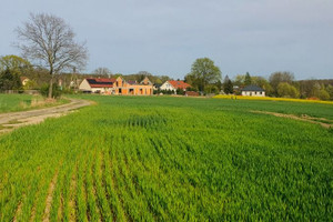 Działka na sprzedaż legnicki Miłkowice Głuchowice - zdjęcie 4