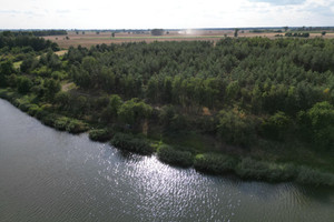 Działka na sprzedaż gnieźnieński Kłecko Dębnica - zdjęcie 3