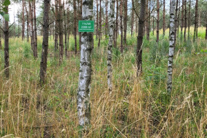 Działka na sprzedaż gnieźnieński Kłecko Dębnica - zdjęcie 2