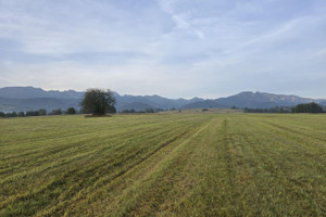 Działka na sprzedaż tatrzański Zakopane Wojdyły - zdjęcie 3