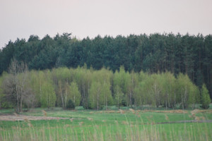 Działka na sprzedaż 1000m2 miński Dębe Wielkie Cyganka Szkolna - zdjęcie 2