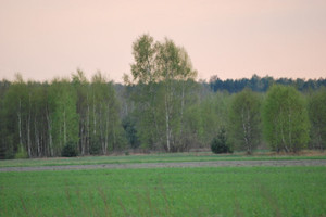 Działka na sprzedaż 1000m2 miński Dębe Wielkie Cyganka Szkolna - zdjęcie 3