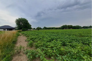 Komercyjne na sprzedaż 19518m2 Kraków Nowa Huta Żaglowa - zdjęcie 3