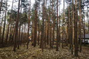 Działka na sprzedaż łódzki wschodni Tuszyn Zofiówka Cmentarna - zdjęcie 1