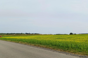 Komercyjne do wynajęcia 5000m2 wejherowski Szemud Kielno - zdjęcie 1