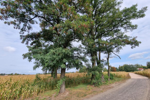 Działka na sprzedaż grodziski Baranów - zdjęcie 1