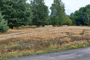 Działka na sprzedaż piotrkowski Gorzkowice KOPANINA - zdjęcie 3