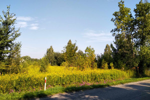 Działka na sprzedaż stalowowolski Bojanów Stany Kolbuszowska - zdjęcie 2