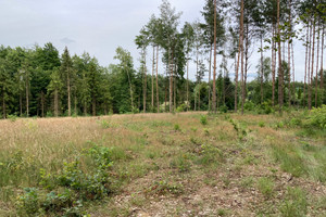 Działka na sprzedaż brodnicki Zbiczno Ciche - zdjęcie 3