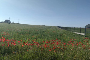 Działka na sprzedaż kamieński Kamień Pomorski Grabowo - zdjęcie 3