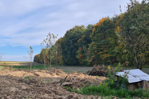 Działka na sprzedaż miechowski Racławice Klonów - zdjęcie 2