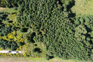 Działka na sprzedaż żyrardowski Puszcza Mariańska Lisowola Lisowola - zdjęcie 3