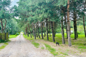 Działka na sprzedaż piaseczyński Piaseczno Głosków Mewy - zdjęcie 3