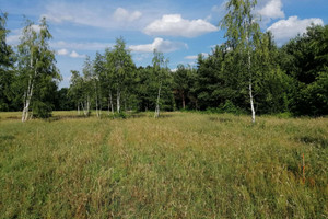 Działka na sprzedaż grodziski Żabia Wola Osowiec Mazowiecka - zdjęcie 1