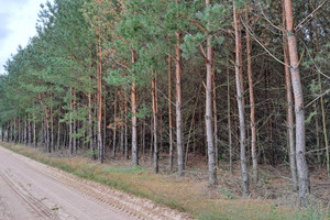 Działka na sprzedaż ciechanowski Sońsk - zdjęcie 1