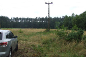 Działka na sprzedaż łowicki Nieborów Haliny Radziwiłłowej - zdjęcie 1