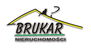 Logo firmy