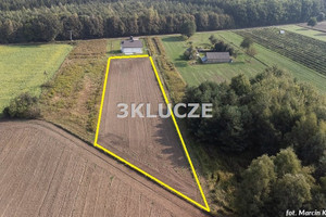 Działka na sprzedaż 3479m2 lubelski Jabłonna Skrzynice Pierwsze - zdjęcie 2