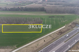 Działka na sprzedaż 4546m2 lubelski Jastków Dąbrowica - zdjęcie 2