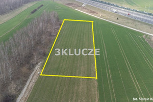 Działka na sprzedaż 4546m2 lubelski Jastków Dąbrowica - zdjęcie 3