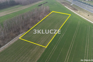 Działka na sprzedaż 4546m2 lubelski Jastków Dąbrowica - zdjęcie 1