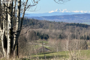 Działka na sprzedaż 1141m2 dębicki Pilzno Gębiczyna - zdjęcie 1