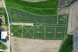 Działka na sprzedaż 1500m2 dębicki Czarna Podlesie - zdjęcie 1