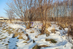 Działka na sprzedaż 2400m2 myszkowski Koziegłowy Siedlec Duży - zdjęcie 3