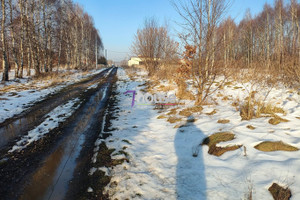 Działka na sprzedaż 2400m2 myszkowski Koziegłowy Siedlec Duży - zdjęcie 1