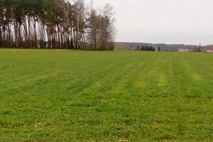 Działka na sprzedaż 39800m2 płoński Joniec Proboszczewice - zdjęcie 1