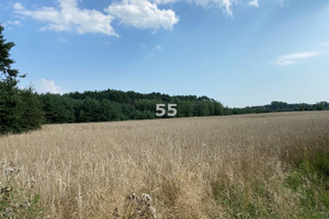 Działka na sprzedaż zgierski Aleksandrów Łódzki Stary Adamów - zdjęcie 2