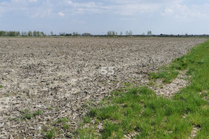 Działka na sprzedaż brzeziński Brzeziny - zdjęcie 3