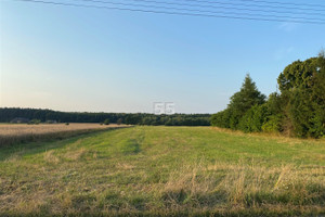 Działka na sprzedaż łaski Łask Wronowice - zdjęcie 1