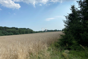 Działka na sprzedaż zgierski Aleksandrów Łódzki Stary Adamów - zdjęcie 1