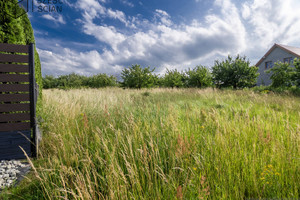 Działka na sprzedaż 2950m2 trzebnicki Trzebnica Cerekwica Miodowa - zdjęcie 2