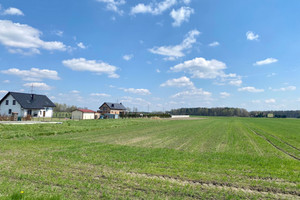 Działka na sprzedaż 3240m2 pszczyński Miedźna - zdjęcie 2