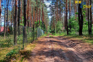 Działka na sprzedaż myszkowski Żarki Przybynów - zdjęcie 3