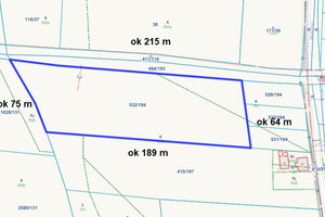 Działka na sprzedaż 12403m2 tarnogórski Zbrosławice Laryszów - zdjęcie 1