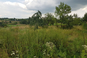 Działka na sprzedaż 1875m2 Siemianowice Śląskie Przełajka Wiejska - zdjęcie 3