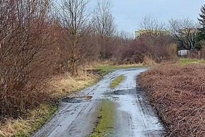 Działka na sprzedaż 2563m2 tarnogórski Radzionków Szymały - zdjęcie 2