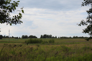 Działka na sprzedaż 6830m2 myszkowski Koziegłowy Wojsławice Jasna - zdjęcie 1