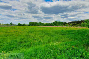 Działka na sprzedaż 25660m2 żyrardowski Puszcza Mariańska Aleksandria - zdjęcie 1