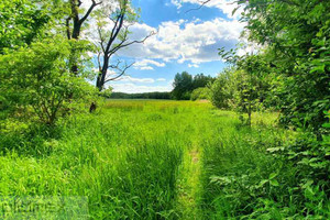 Działka na sprzedaż 25660m2 żyrardowski Puszcza Mariańska Aleksandria - zdjęcie 2