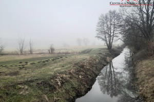 Działka na sprzedaż 21200m2 toruński Zławieś Wielka Czarnowo - zdjęcie 2