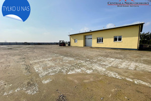 Komercyjne do wynajęcia 220m2 golubsko-dobrzyński Ciechocin - zdjęcie 1