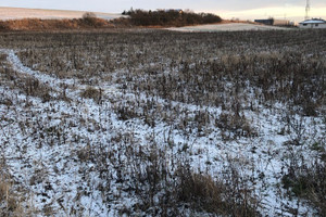 Działka na sprzedaż 5084m2 toruński Lubicz Grębocin - zdjęcie 2