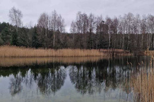 Działka na sprzedaż toruński Chełmża Zalesie - zdjęcie 3