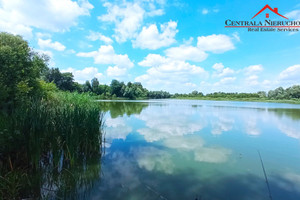 Komercyjne na sprzedaż 140000m2 golubsko-dobrzyński Golub-Dobrzyń - zdjęcie 2