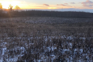 Działka na sprzedaż 5084m2 toruński Lubicz Grębocin - zdjęcie 3