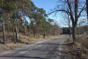 Działka na sprzedaż toruński Zławieś Wielka Czarne Błoto - zdjęcie 3